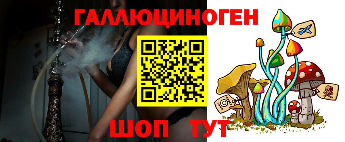 Псилоцибиновые грибы мицелий Киселёвск